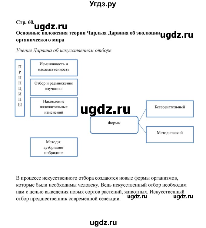 ГДЗ (Решебник) по биологии 9 класс (рабочая тетрадь) Н.Ф. Бодрова / страница / 60