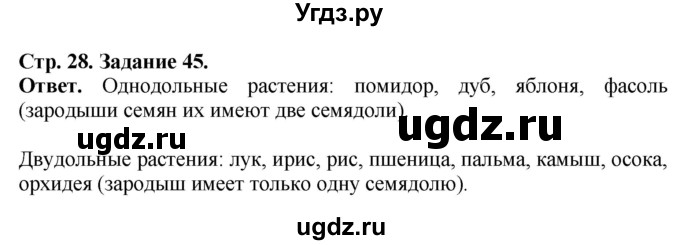 ГДЗ (Решебник) по биологии 6 класс (рабочая тетрадь) Сонин Н.И. / страница / 28(продолжение 2)