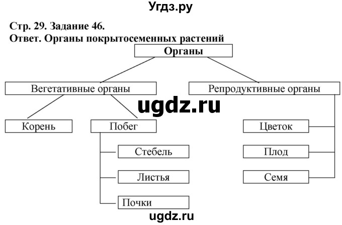 ГДЗ (Решебник) по биологии 6 класс (рабочая тетрадь) Сонин Н.И. / страница / 29