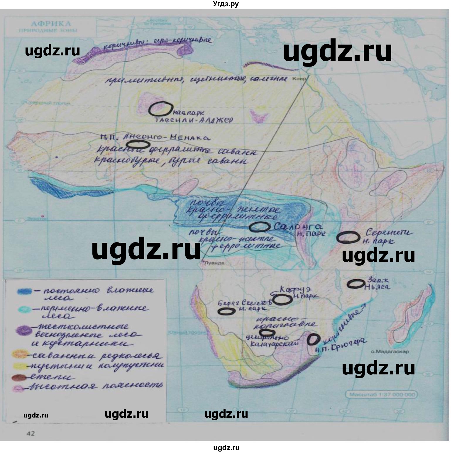 ГДЗ (Решебник) по географии 7 класс (рабочая тетрадь с контурными картами и заданиями для подготовки к ГИА и ЕГЭ) Сиротин В.И. / страница / 42