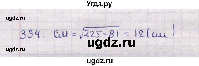 ГДЗ (Решебник) по геометрии 11 класс Солтан Г.Н. / задача / 394