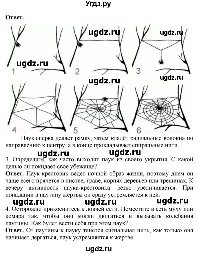 ГДЗ (Решебник) по биологии 8 класс Шереметьева А.М. / часть 1. страница / 162(продолжение 2)