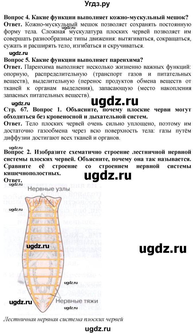 ГДЗ (Решебник) по биологии 8 класс Шереметьева А.М. / часть 1. страница / 67(продолжение 2)