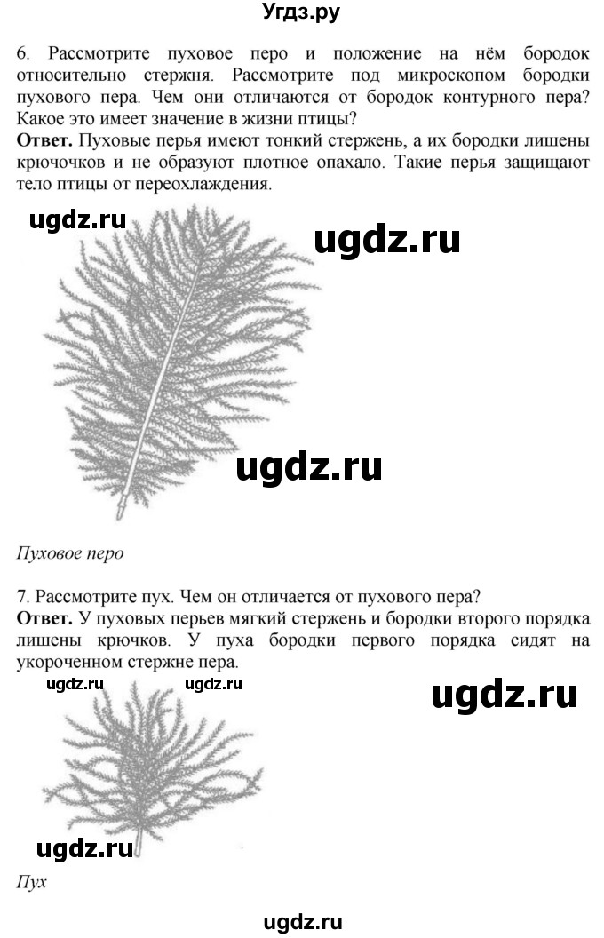 ГДЗ (Решебник) по биологии 8 класс Шереметьева А.М. / часть 2. страница / 109(продолжение 4)