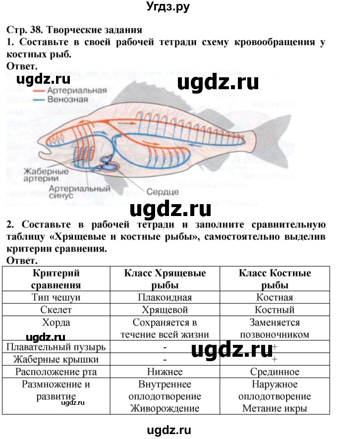 ГДЗ (Решебник) по биологии 8 класс Шереметьева А.М. / часть 2. страница / 38(продолжение 3)