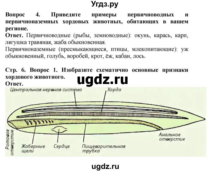 ГДЗ (Решебник) по биологии 8 класс Шереметьева А.М. / часть 2. страница / 6(продолжение 2)