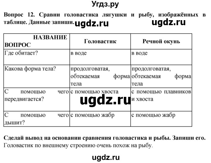 ГДЗ (Решебник) по биологии 8 класс (рабочая тетрадь (Животные)) Никишов А.И. / позвоночные животные / земноводные / 12