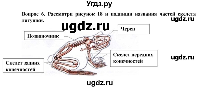 ГДЗ (Решебник) по биологии 8 класс (рабочая тетрадь (Животные)) Никишов А.И. / позвоночные животные / земноводные / 6