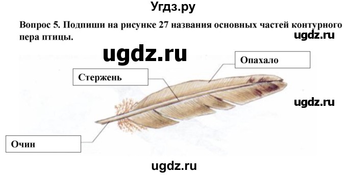 ГДЗ (Решебник) по биологии 8 класс (рабочая тетрадь (Животные)) Никишов А.И. / позвоночные животные / птицы / 5