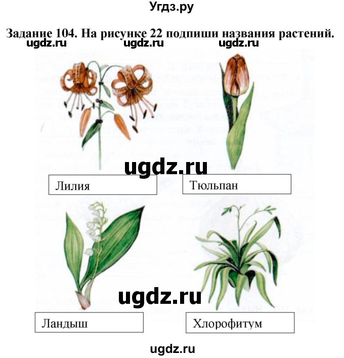 ГДЗ (Решебник) по биологии 7 класс (рабочая тетрадь) Клепинина З. А. / задание / 104