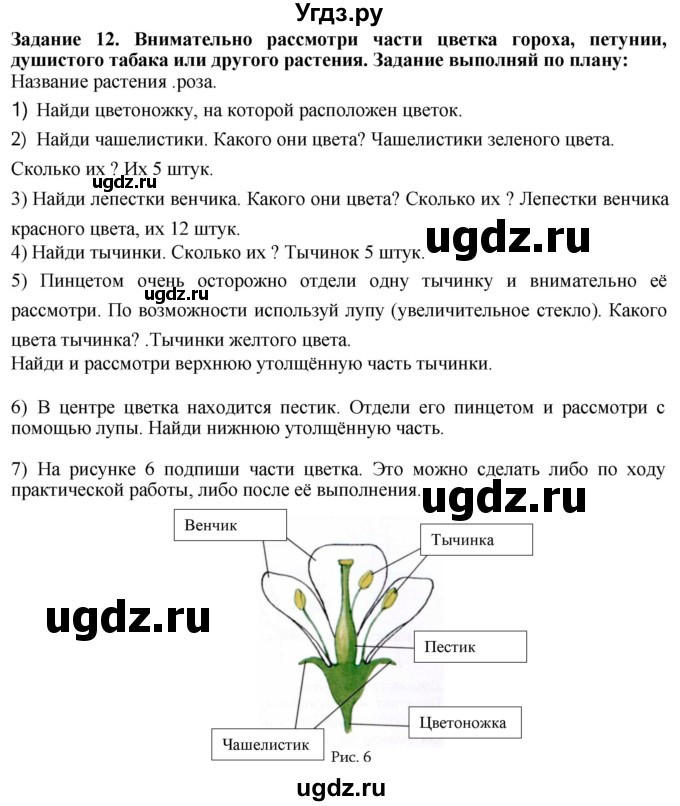 ГДЗ (Решебник) по биологии 7 класс (рабочая тетрадь) Клепинина З. А. / задание / 12