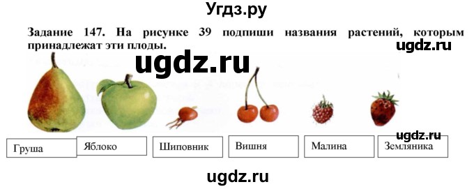 ГДЗ (Решебник) по биологии 7 класс (рабочая тетрадь) Клепинина З. А. / задание / 147