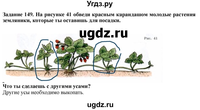 ГДЗ (Решебник) по биологии 7 класс (рабочая тетрадь) Клепинина З. А. / задание / 149