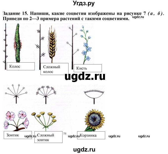 ГДЗ (Решебник) по биологии 7 класс (рабочая тетрадь) Клепинина З. А. / задание / 15