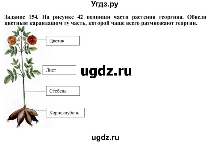 ГДЗ (Решебник) по биологии 7 класс (рабочая тетрадь) Клепинина З. А. / задание / 154