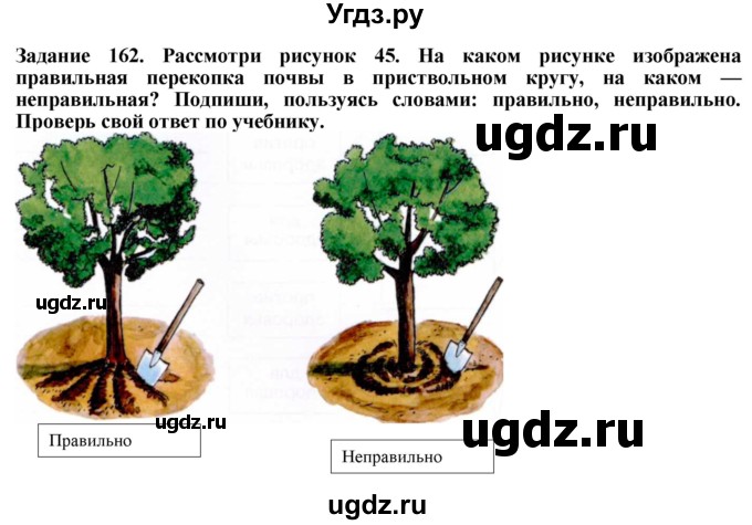 ГДЗ (Решебник) по биологии 7 класс (рабочая тетрадь) Клепинина З. А. / задание / 162