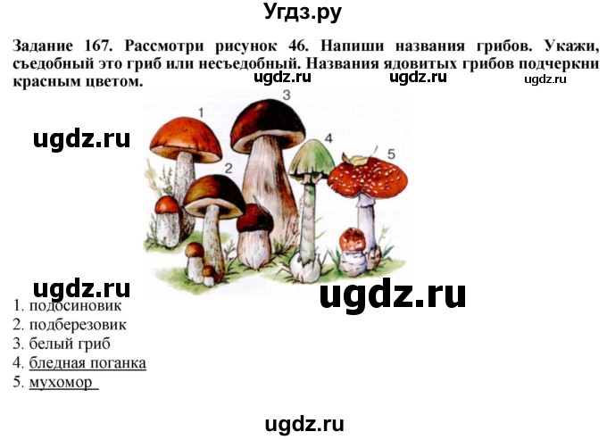 ГДЗ (Решебник) по биологии 7 класс (рабочая тетрадь) Клепинина З. А. / задание / 167