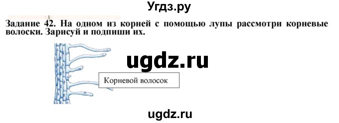 ГДЗ (Решебник) по биологии 7 класс (рабочая тетрадь) Клепинина З. А. / задание / 42