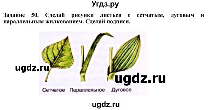 ГДЗ (Решебник) по биологии 7 класс (рабочая тетрадь) Клепинина З. А. / задание / 50