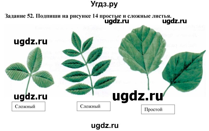 ГДЗ (Решебник) по биологии 7 класс (рабочая тетрадь) Клепинина З. А. / задание / 52