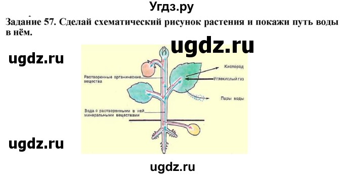 ГДЗ (Решебник) по биологии 7 класс (рабочая тетрадь) Клепинина З. А. / задание / 57