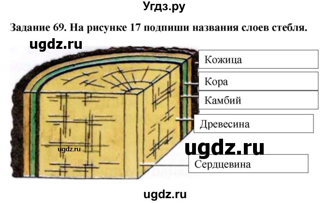 ГДЗ (Решебник) по биологии 7 класс (рабочая тетрадь) Клепинина З. А. / задание / 69