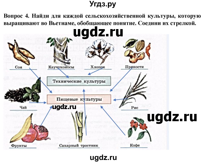 ГДЗ (Решебник) по географии 9 класс (рабочая тетрадь) Лифанова Т.М. / страница / 148(продолжение 2)