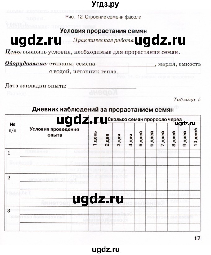 ГДЗ (Тетрадь) по биологии 6 класс (рабочая тетрадь) Бодрова Н.Ф. / страница / 17