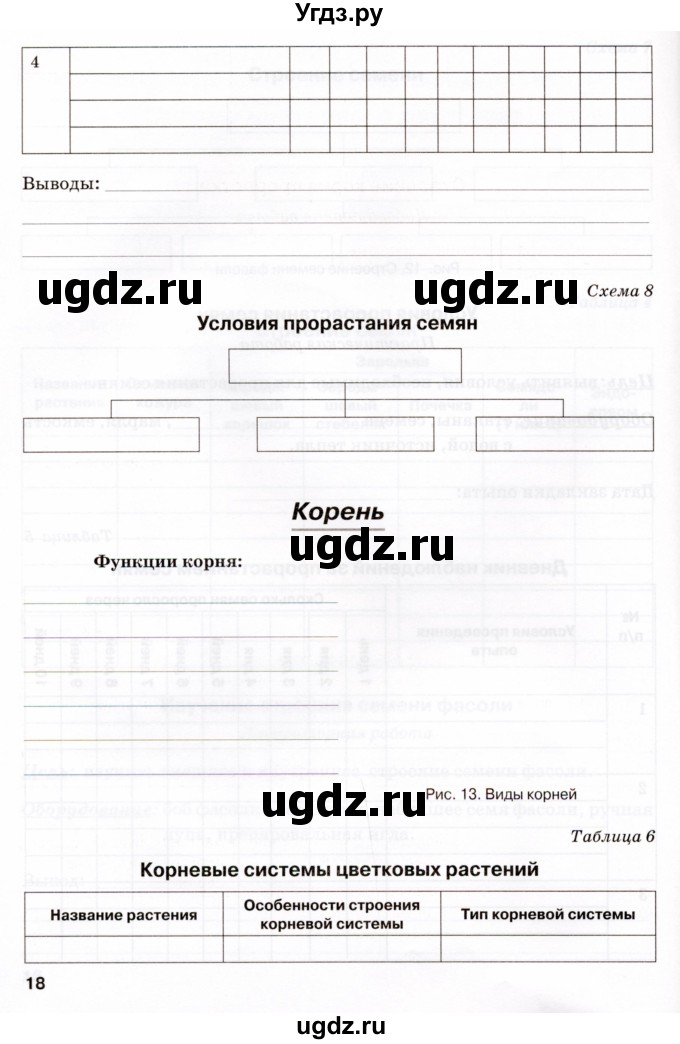 ГДЗ (Тетрадь) по биологии 6 класс (рабочая тетрадь) Бодрова Н.Ф. / страница / 18