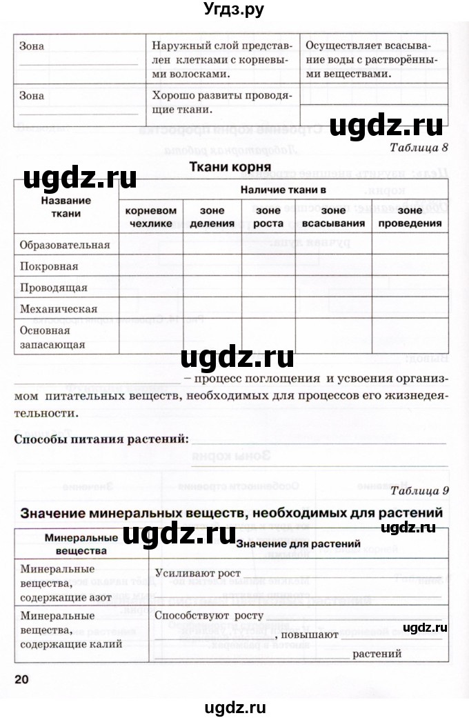 ГДЗ (Тетрадь) по биологии 6 класс (рабочая тетрадь) Бодрова Н.Ф. / страница / 20