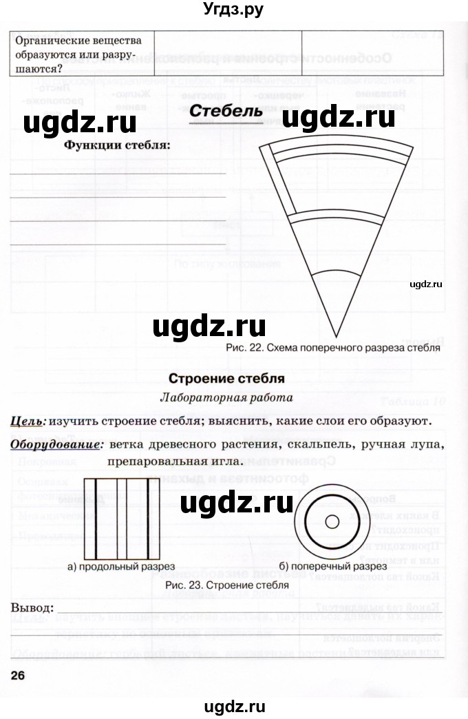 ГДЗ (Тетрадь) по биологии 6 класс (рабочая тетрадь) Бодрова Н.Ф. / страница / 26