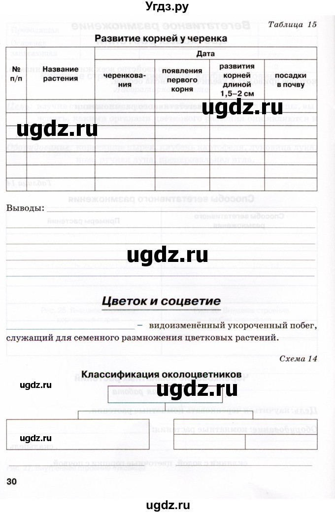 ГДЗ (Тетрадь) по биологии 6 класс (рабочая тетрадь) Бодрова Н.Ф. / страница / 30