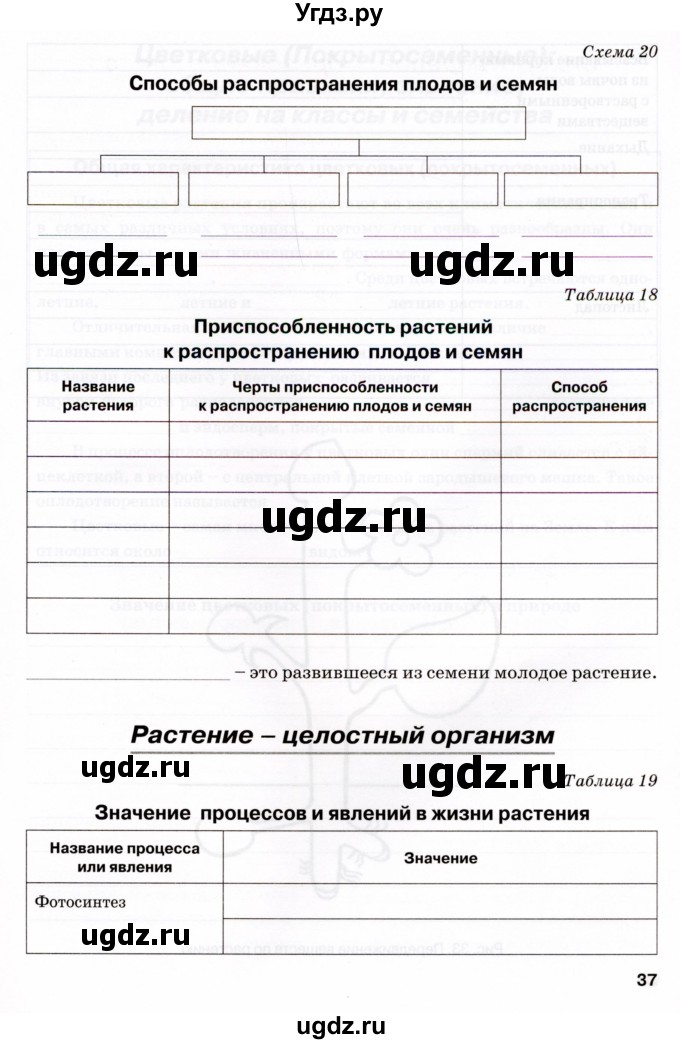 ГДЗ (Тетрадь) по биологии 6 класс (рабочая тетрадь) Бодрова Н.Ф. / страница / 37