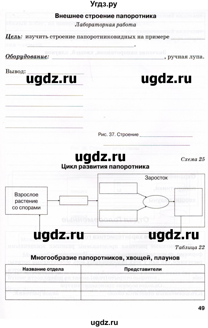 ГДЗ (Тетрадь) по биологии 6 класс (рабочая тетрадь) Бодрова Н.Ф. / страница / 49