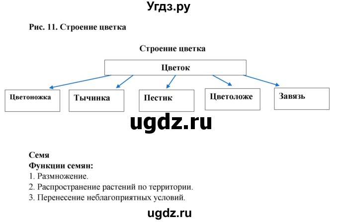 ГДЗ (Решебник) по биологии 6 класс (рабочая тетрадь) Бодрова Н.Ф. / страница / 15(продолжение 2)