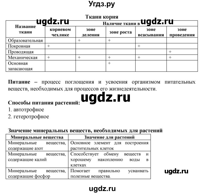 ГДЗ (Решебник) по биологии 6 класс (рабочая тетрадь) Бодрова Н.Ф. / страница / 20