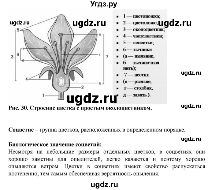 ГДЗ (Решебник) по биологии 6 класс (рабочая тетрадь) Бодрова Н.Ф. / страница / 31(продолжение 3)