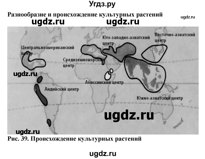 ГДЗ (Решебник) по биологии 6 класс (рабочая тетрадь) Бодрова Н.Ф. / страница / 56