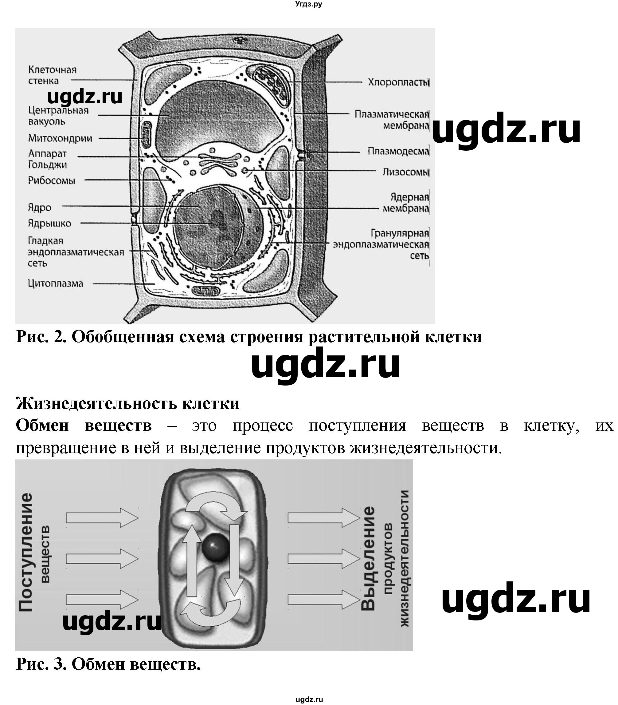 ГДЗ (Решебник) по биологии 6 класс (рабочая тетрадь) Бодрова Н.Ф. / страница / 9