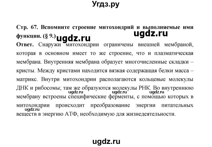 ГДЗ (Решебник) по биологии 10 класс Д.К. Беляев / параграф 13 (страница) / 67(продолжение 3)