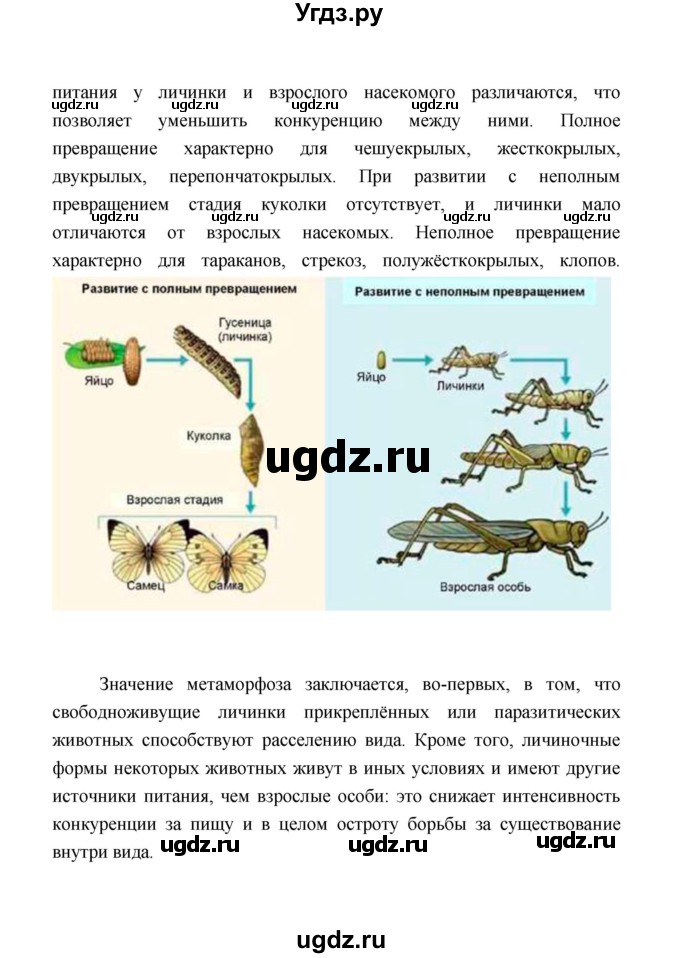 ГДЗ (Решебник) по биологии 10 класс Д.К. Беляев / параграф 27 (страница) / 128(продолжение 2)