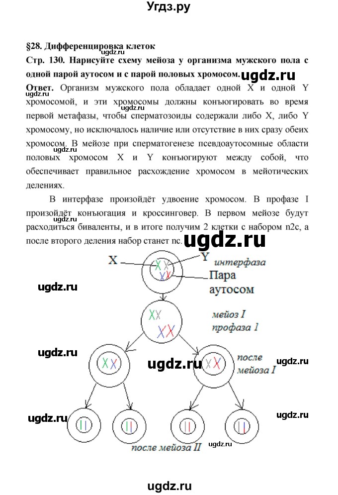ГДЗ (Решебник) по биологии 10 класс Д.К. Беляев / параграф 28 (страница) / 130