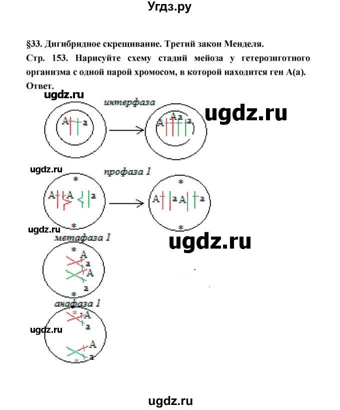 ГДЗ (Решебник) по биологии 10 класс Д.К. Беляев / параграф 33 (страница) / 153