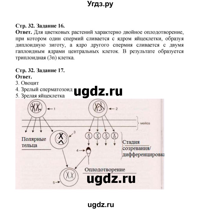 ГДЗ (Решебник) по биологии 10 класс (рабочая тетрадь) О.В. Саблина / страница / 32