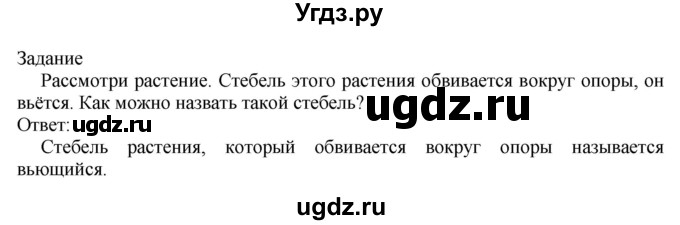 ГДЗ (Решебник) по миру природы и человека 3 класс (рабочая тетрадь) Матвеева Н.Б. / страница / 28(продолжение 2)