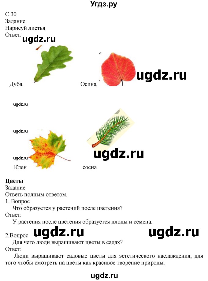 ГДЗ (Решебник) по миру природы и человека 3 класс (рабочая тетрадь) Матвеева Н.Б. / страница / 30