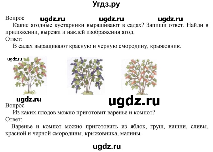 ГДЗ (Решебник) по миру природы и человека 3 класс (рабочая тетрадь) Матвеева Н.Б. / страница / 32(продолжение 2)