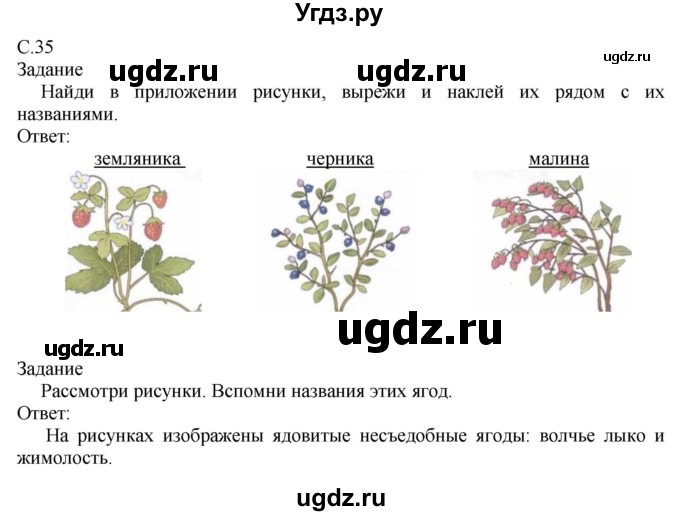 ГДЗ (Решебник) по миру природы и человека 3 класс (рабочая тетрадь) Матвеева Н.Б. / страница / 35