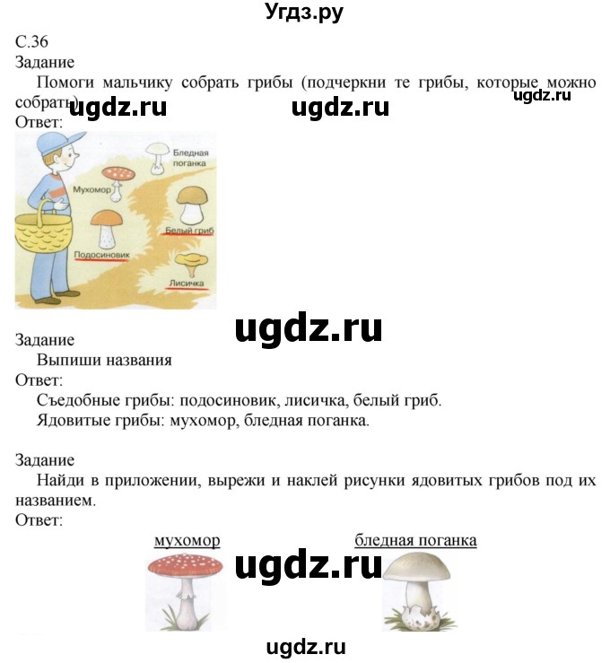 ГДЗ (Решебник) по миру природы и человека 3 класс (рабочая тетрадь) Матвеева Н.Б. / страница / 36