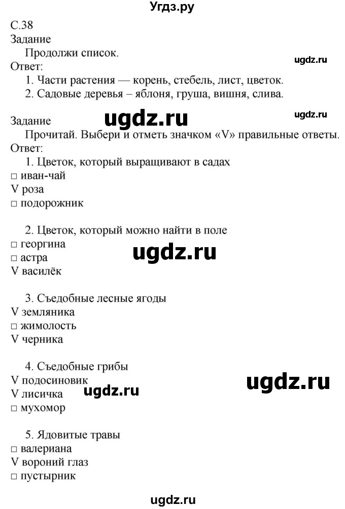 ГДЗ (Решебник) по миру природы и человека 3 класс (рабочая тетрадь) Матвеева Н.Б. / страница / 38